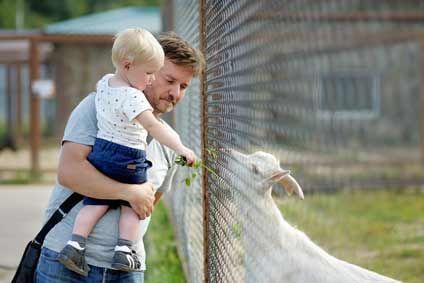 Vacances D Ete On File A La Ferme Pedagogique Ou Au Zoo Avec Bebe Cdiscount