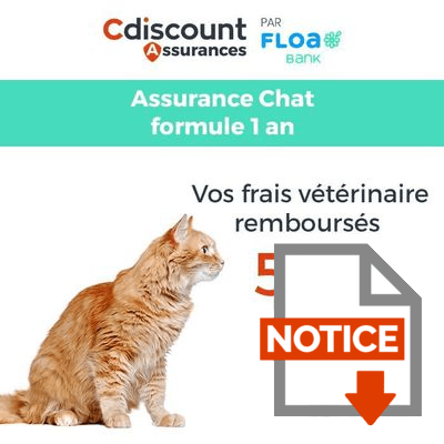 Assurance Chat 1 An Cdiscount Animalerie