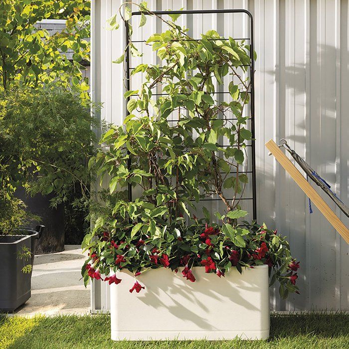 Image secondaire de Porte-plantes Cosmo en métal gris - 78 x H 163 cm