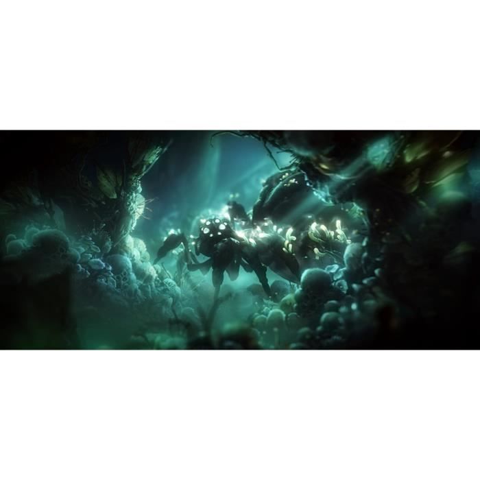 Ori and the Will of the Wisps - Jeu Xbox One