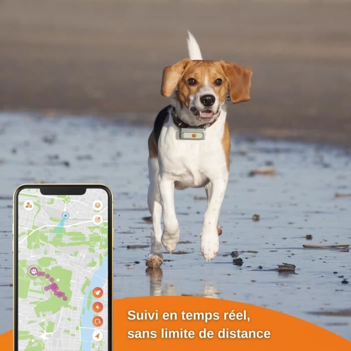 Collier GPS pour chien – Weenect Dogs 2 - Suivi GPS en temps réel, Sans limite de distance, Plus petit modele du marché