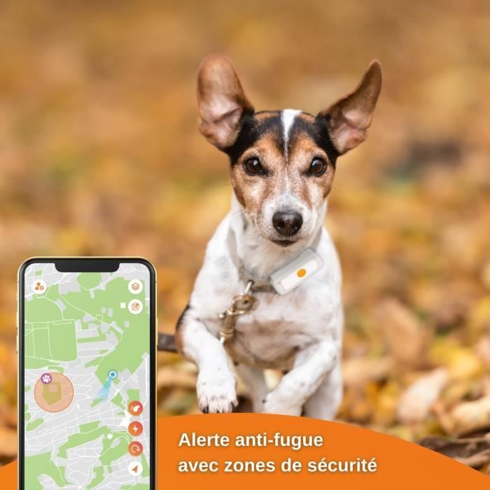 Collier GPS pour chien – Weenect Dogs 2 - Suivi GPS en temps réel, Sans limite de distance, Plus petit modele du marché