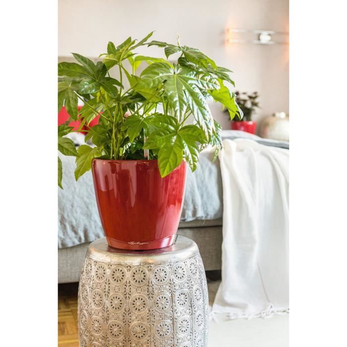 Image secondaire de Jardiniere - Classico premium LS 21 - Kit complet - Rouge scarlet brillant - 3 L - LECHUZA