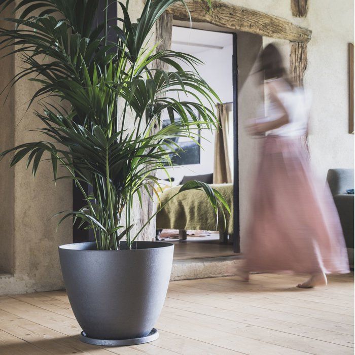 Image secondaire de Pot de Fleurs Rond Élément Ø 40 cm - Gris Anthracite - EDA