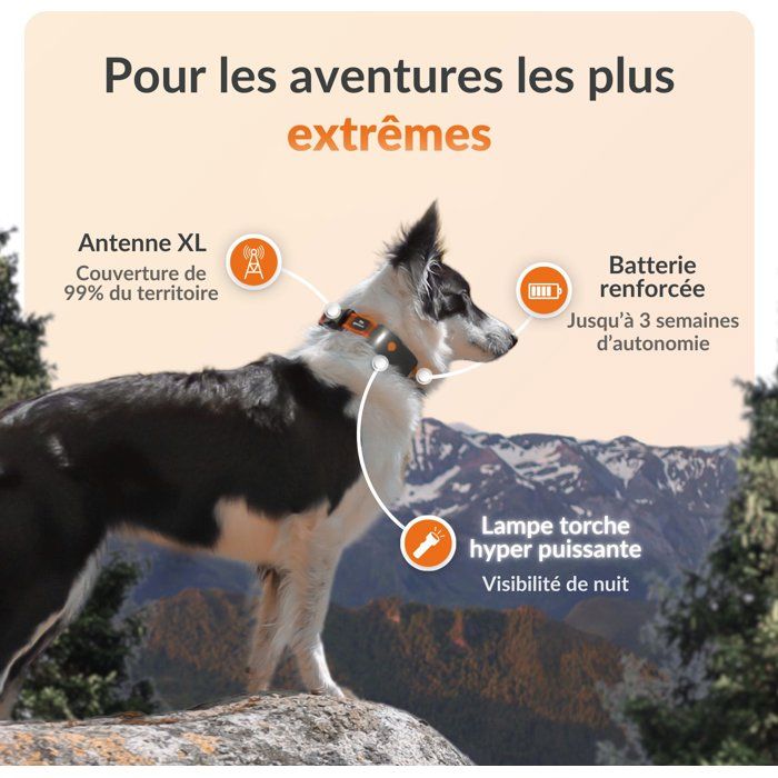 Image secondaire de Traceur GPS Étanche pour Chien WEENECT Chien XT