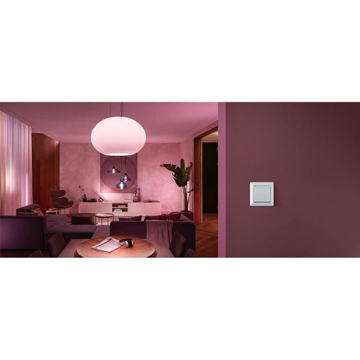Philips Hue Module d'interrupteur mural, Blanc, fonctionne avec Alexa, Google Assistant et Apple Homekit