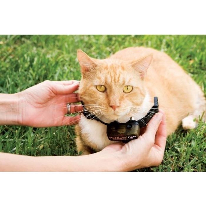 PetSafe - Collier pour chat, 4 niveaux de stimulation, léger, réglable et anti-étranglement, a Pile