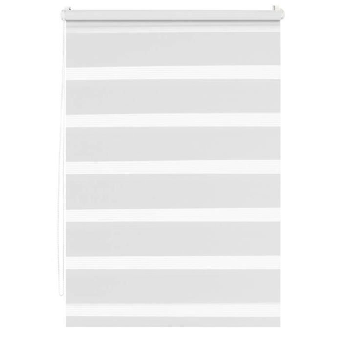 Store enrouleur Jour Nuit a clipser - L55 x H100cm - Blanc - 100% Polyester - MADECOSTORE