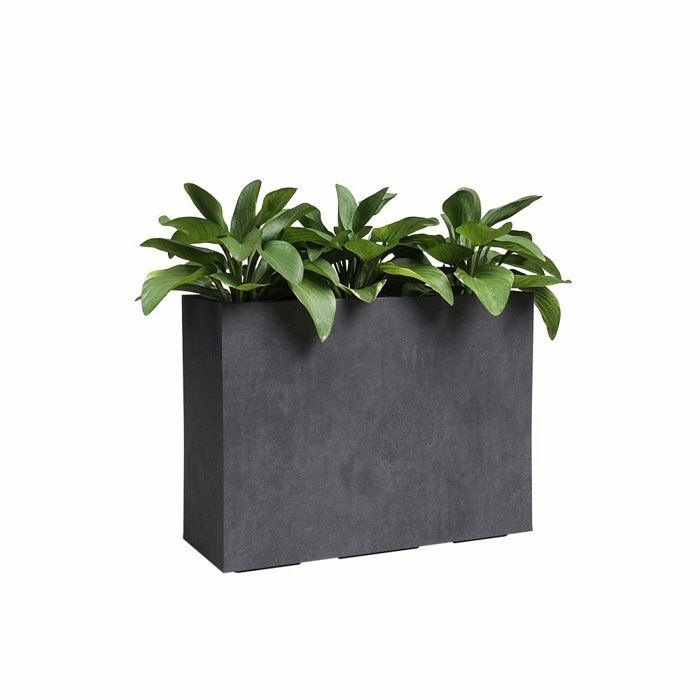 Jardinière Haute Sydney en Plastique Anthracite - 80 cm - 50 L
