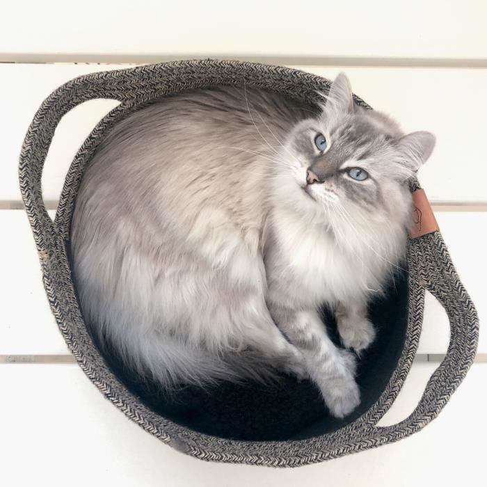 EBI Panier pour chats Tod - 35 x 35 x 22 cm - Noir