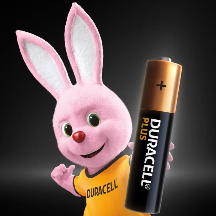 Duracell Plus Piles alcalines AAA, 1.5V LR03 MN2400, paquet de 20