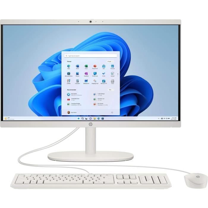 PC All-in-One HP 22-dg0000nf - 21,5 FHD - Intel N100 - 8 GB di RAM - 256 GB di spazio di archiviazione - Windows 11 - Tastiera e mouse cablati