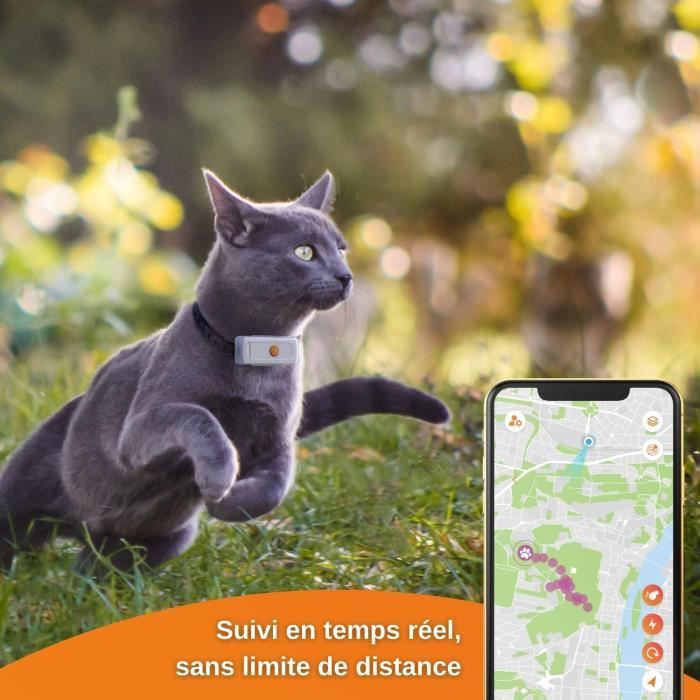 Collier GPS pour chat – Weenect Cats 2 - Suivi GPS en temps réel, Sans limite de distance, Plus petit modele du marché