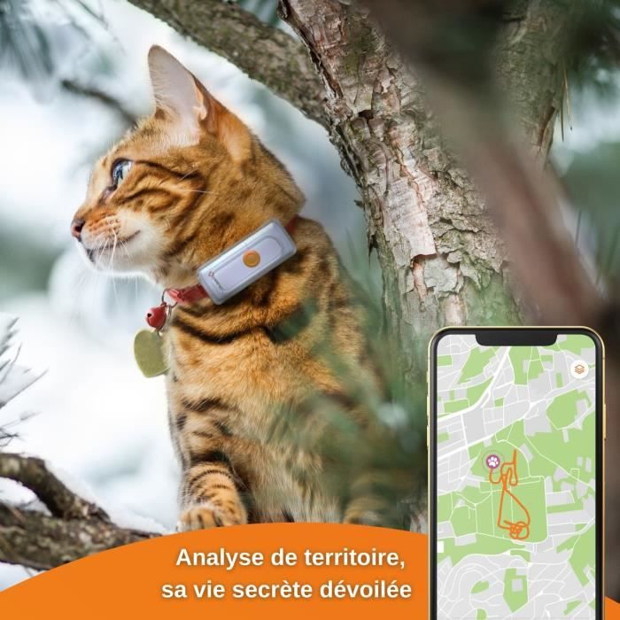 Collier GPS pour chat – Weenect Cats 2 - Suivi GPS en temps réel, Sans limite de distance, Plus petit modele du marché