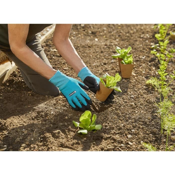 GARDENA Gants de jardin pour plantation – Taille M/8 – Fabrication imperméable – Protection certifiée oeko-Tex – (11511-20)