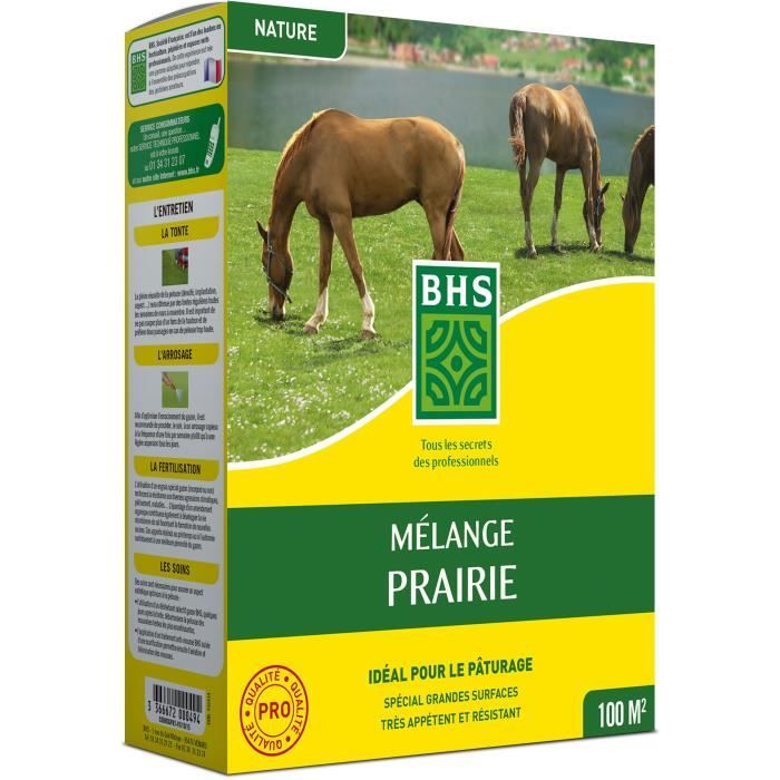 Prato - BHS - Meadow Mix 1kg § 40m² § Per grandi superfici e pascoli § Rapido da installare, durevole, non richiede manutenzione.
