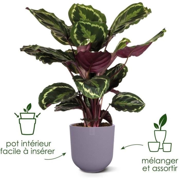 Image secondaire de ELHO Lot de 3 pots de fleur rond Jazz - Ø14xH13,1, Ø16xH15,3, Ø19xH17,6 cm - 7 L - Lila et Blanc