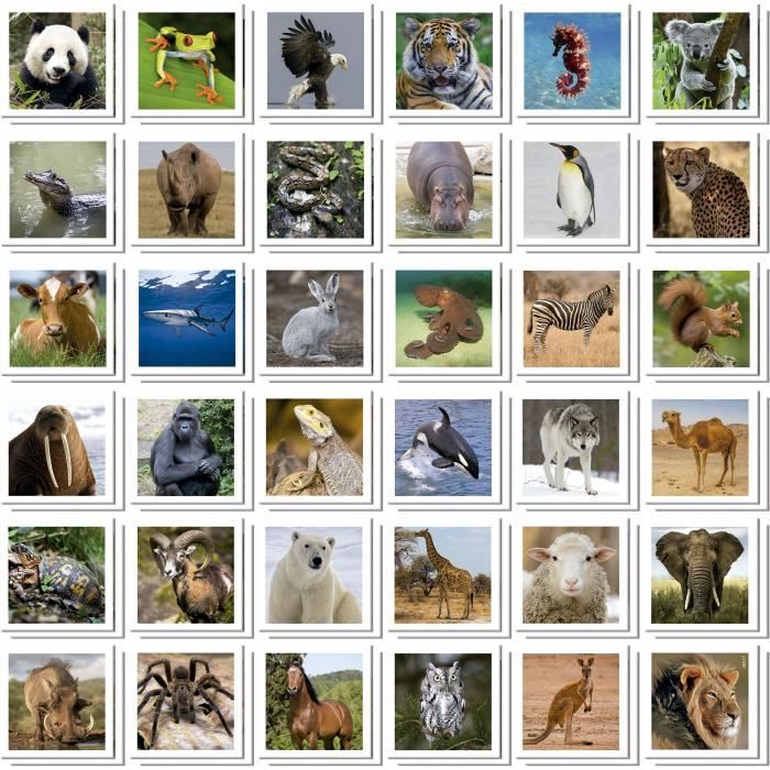 Image secondaire de Identic Animaux - Jeu de mémoire - EDUCA - 72 cartes, développe mémoire et attention - Des 3 ans