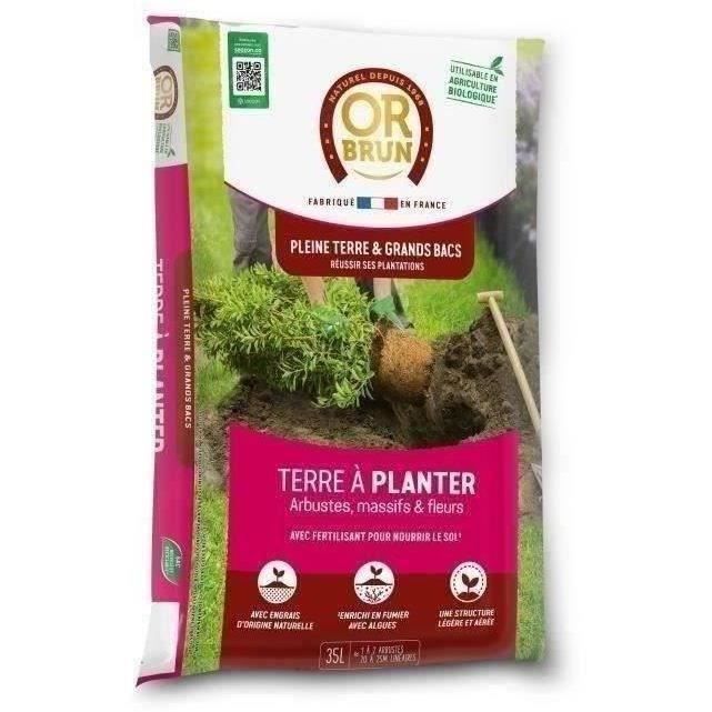 Piantare terra - ORO MARRONE - Obrtap35N