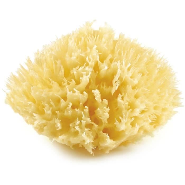 THERMOBABY Eponge de mer honeycomb n � 10