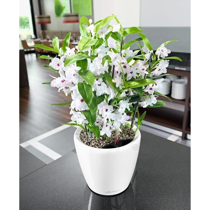 Image secondaire de Jardiniere - Classico premium LS 21 - Kit complet - Blanc brillant - 3 L - LECHUZA