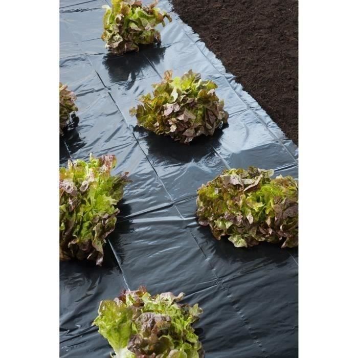 Black mulch film all cultures - 1.40x10m