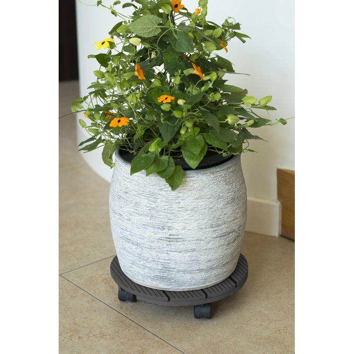 Image secondaire de Support de pot roulant anthracite - NATURE - 30 cm