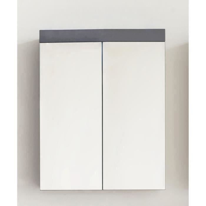 Bathroom Cabinet Mirrored 2 Doors Gray 60x17x77cm