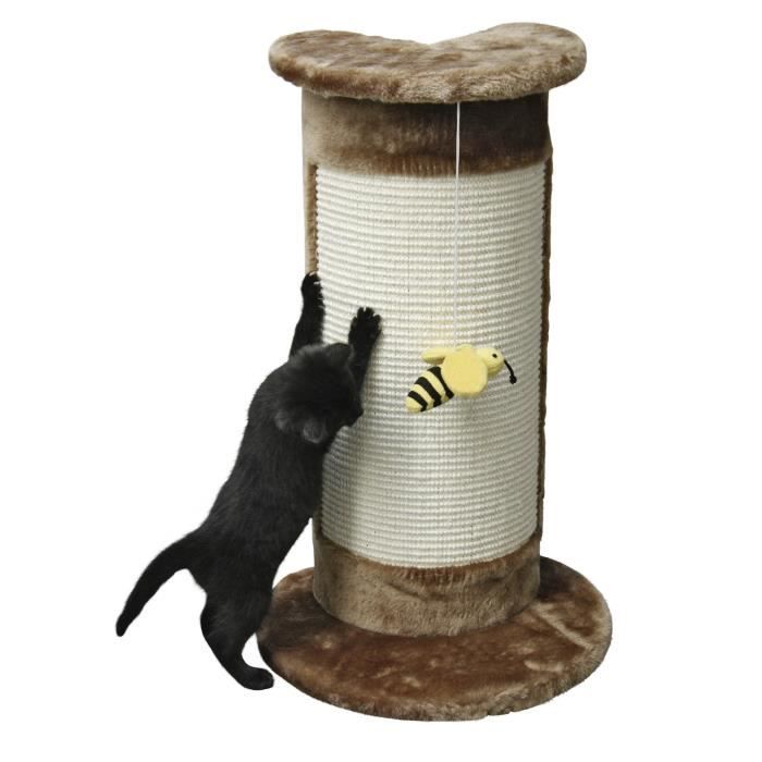 Albero marrone gatto angolare