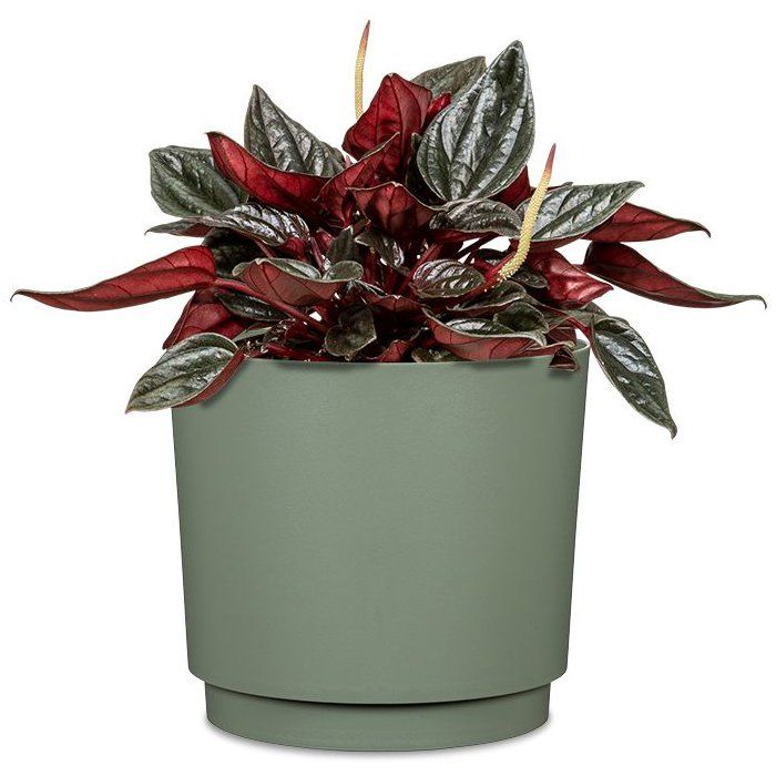 Image secondaire de Cache-pot rond élégant en vert clair - GARDEN ID - Ø 25 cm