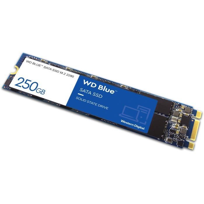 WD Blue™ - Disque SSD Interne - 3D Nand - 250 Go - M.2 SATA (WDS250G2B0B)