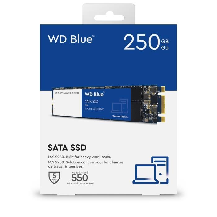 WD Blue™ - Disque SSD Interne - 3D Nand - 250 Go - M.2 SATA (WDS250G2B0B)