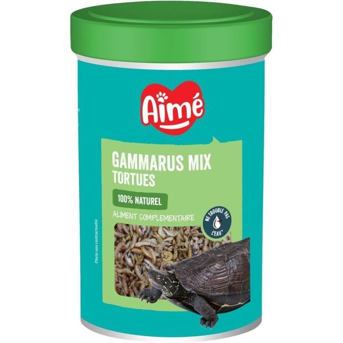 gammarus 1l gamberetti Tortoise