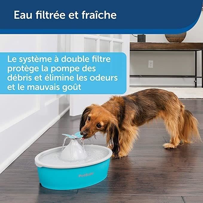 PetSafe - Fontaine a Eau Papillon pour chat et chien Drinkwell, 4 Différents Flux, Double Filtration, Facile a nettoyer, 1,5 L