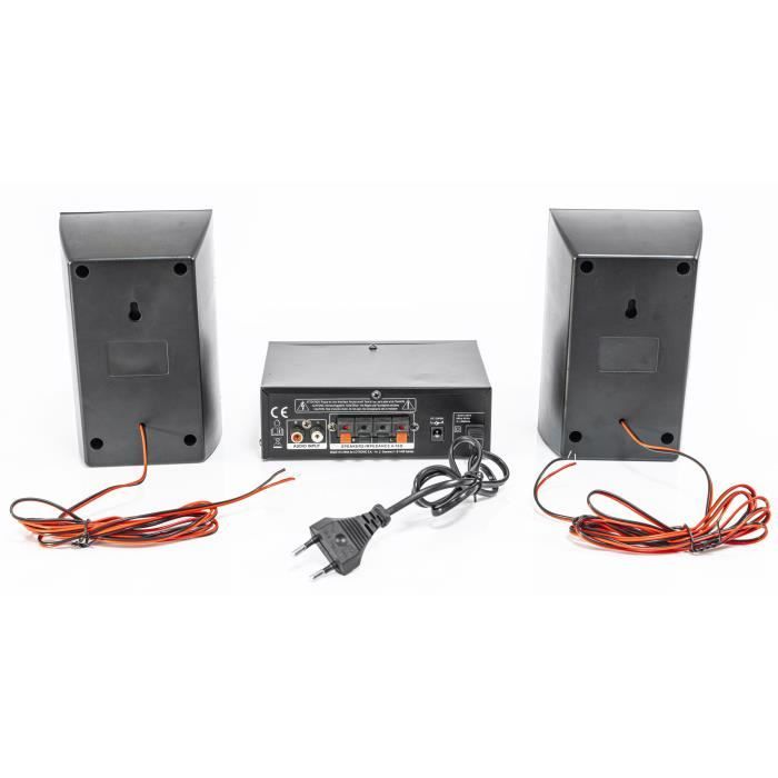 PARTY LIGHT&SOUND PARTY-KA100 - Kit karaoké : 1 amplificateur 2x50W, 2 enceintes, 1 micro - 76dB - Bluetooth, USB