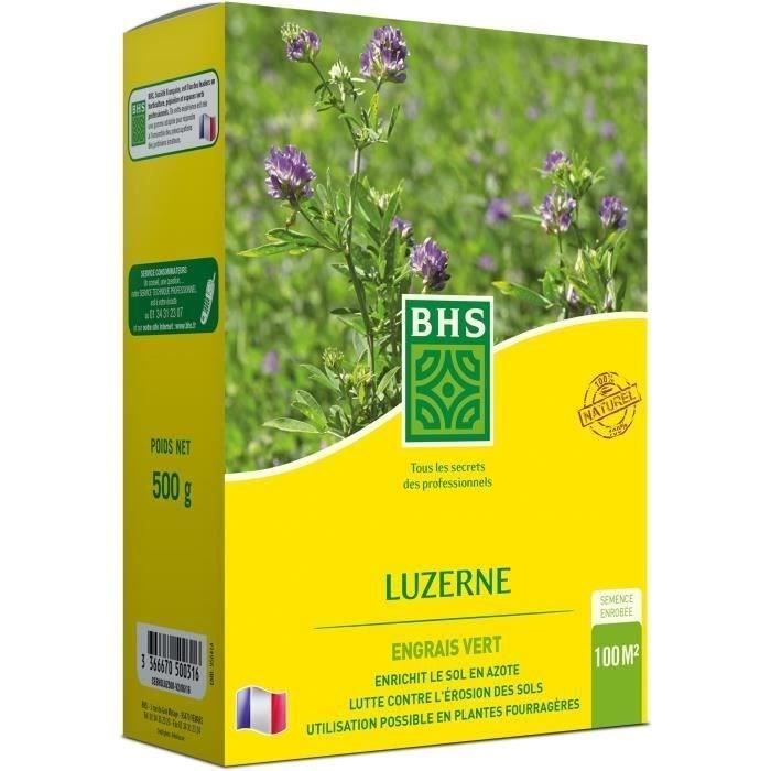 Luzerne - BHS - 500g | 100 m² | Améliore le sol, résiste au froid et a la sécheresse, riche en protéines, minéraux et vitamines.