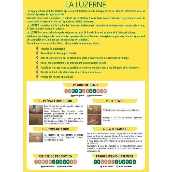 Image secondaire de Luzerne - BHS - 500g | 100 m² | Améliore le sol, résiste au froid et a la sécheresse, riche en protéines, minéraux et vitamines.