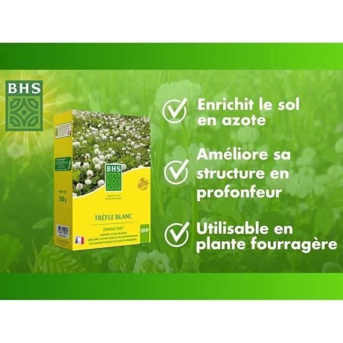 Image secondaire de Trefle Blanc - BHS - 500 m²| Favorise la biodiversité, s'adapte a tous types de sols et résiste au piétinement.