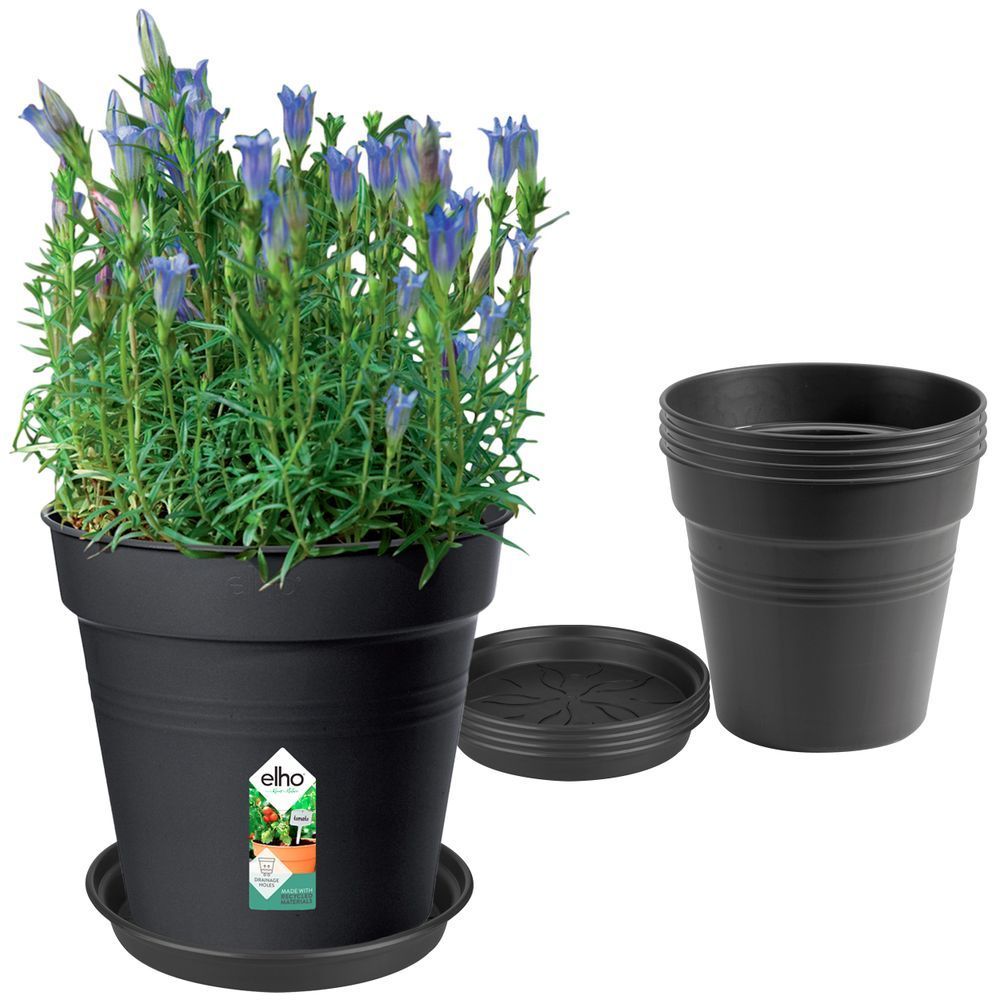 ELHO Lot de 5 pots de fleur de culture avec soucoupe Green Basics - Ø17 x H15,7 cm + soucoupe Ø14 cm - 4 L - Noir