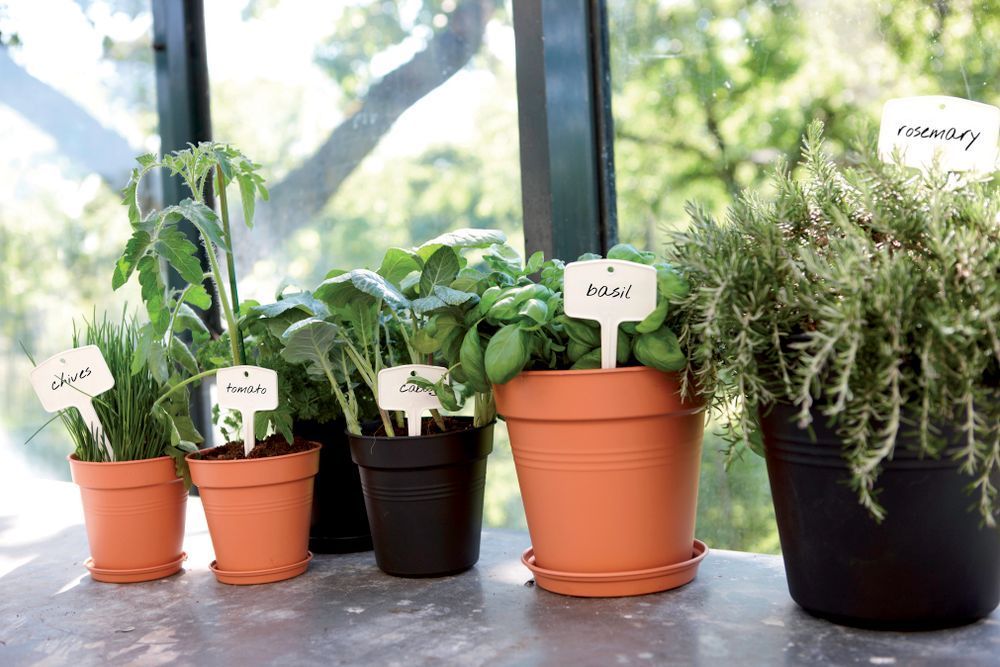 Image secondaire de ELHO Lot de 5 pots de fleur de culture avec soucoupe Green Basics - Ø17 x H15,7 cm + soucoupe Ø14 cm - 4 L - Noir