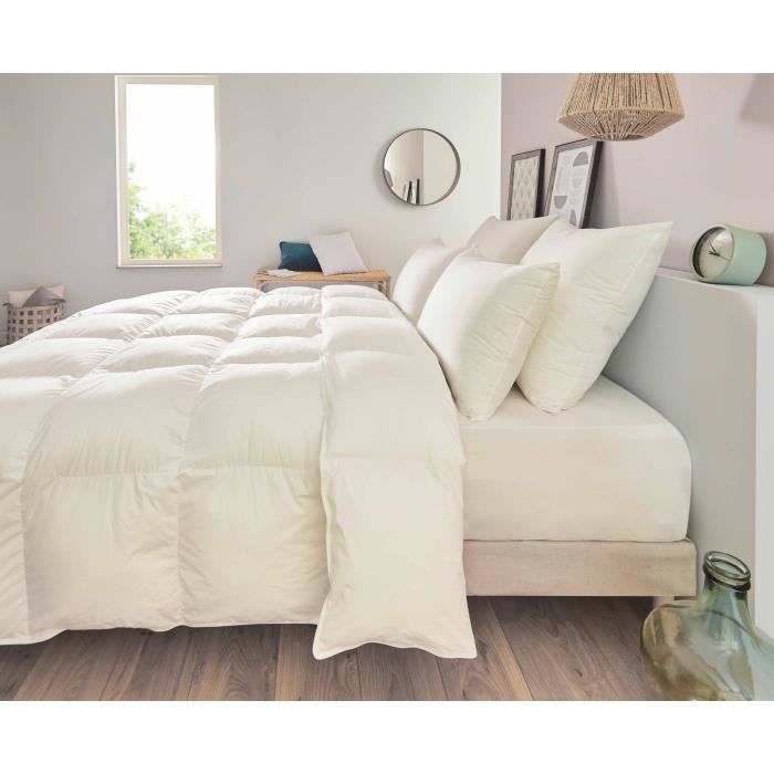 Image secondaire de Oreiller - TOISON D'OR - POLLUX - Confort ferme - 50 x 70 cm - Blanc