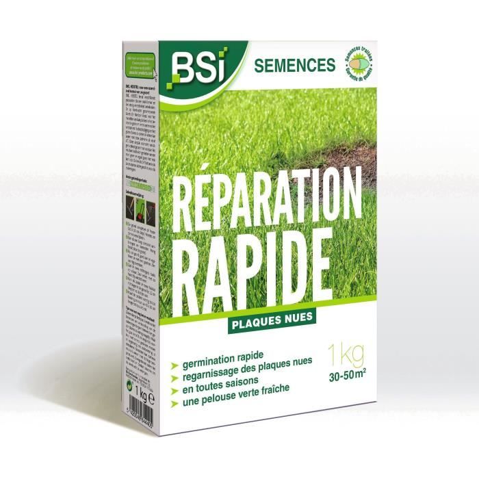 BSI - Semi d'erba - Riparazione rapida - Con rivestimento protettivo - Alta qualità - Fino a 50 m² - 1 Kg