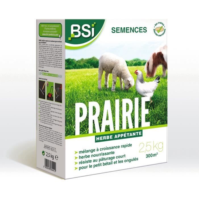 BSI - Semi di erba - Prato - Alta qualità - Ampia area - Fino a 375 m² - 7,5 kg