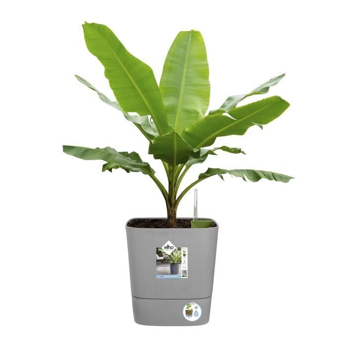 ELHO - Pot de fleurs  -  Greensense Aqua Care Carré 30 - Ciment Clair - Intérieur/extérieur - Ø 29.5 x H 30.2 cm