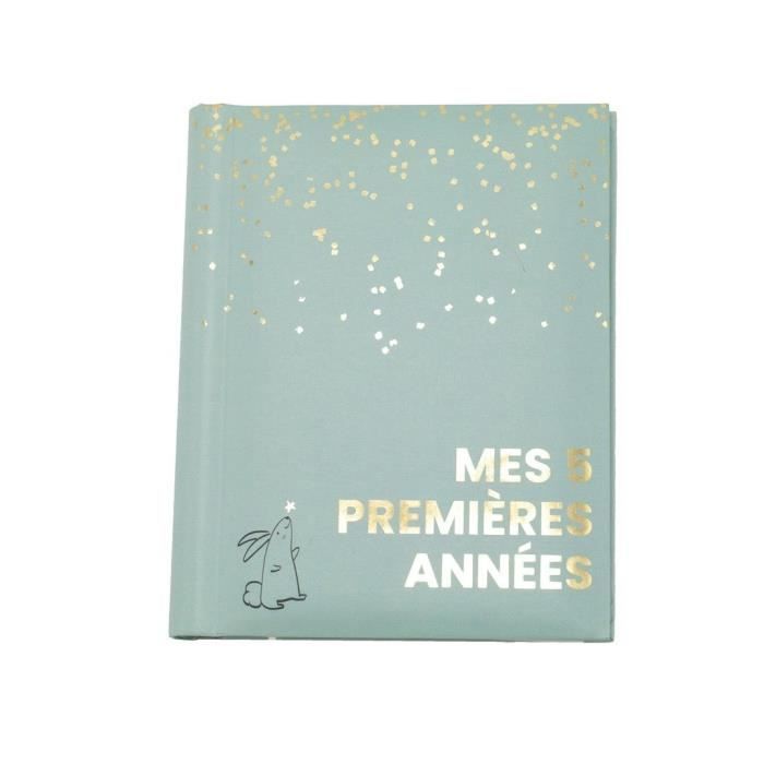 Livre naissance - DOMIVA - Sauge Gold - 5 premières années - 100 pages illustrées