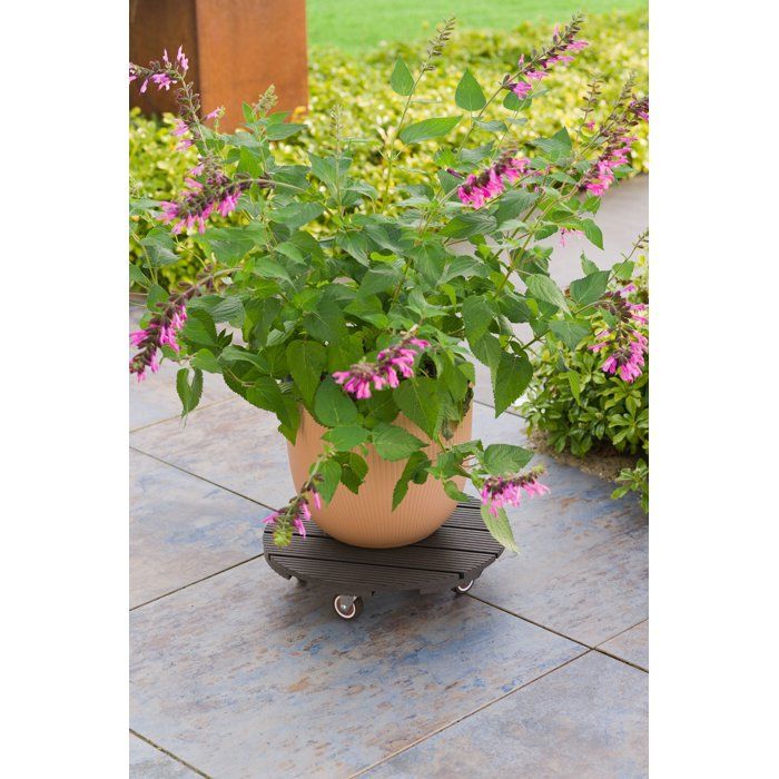 Image secondaire de Support de Pot Roulant Anthracite - NATURE - Ø38 cm