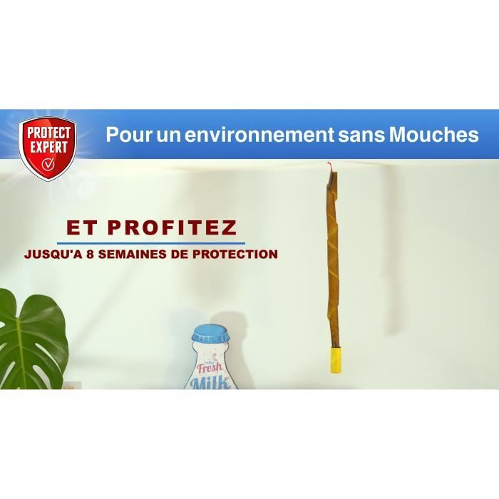 PROTECT EXPERT Ruban attrappe mouches RUBMOU4 - x4