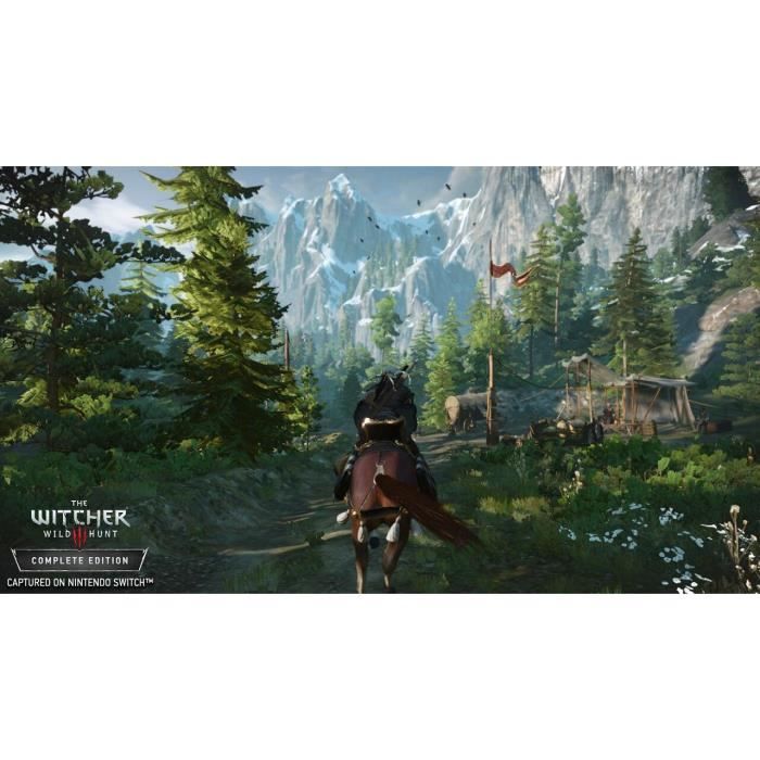 The Witcher 3 Wild Hunt Complete Edition Light Edition Jeu Switch