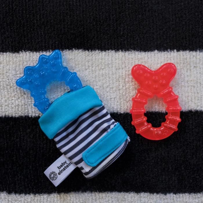 BABY EINSTEIN chilly mitt™ universal teether mitten
