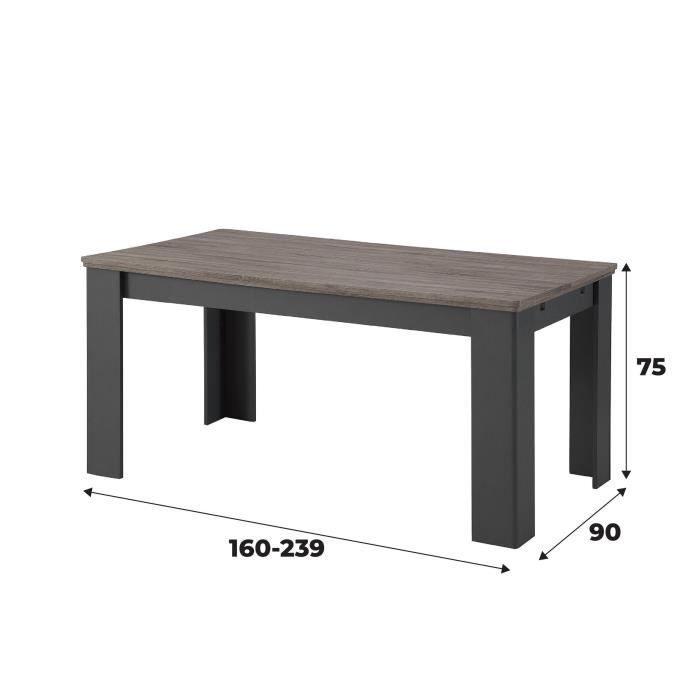 DESSY Table a manger extensible de 6 a 10 personnes style contemporain  - L 160 - 239 x l 90 cm - Gris mat et décor bois